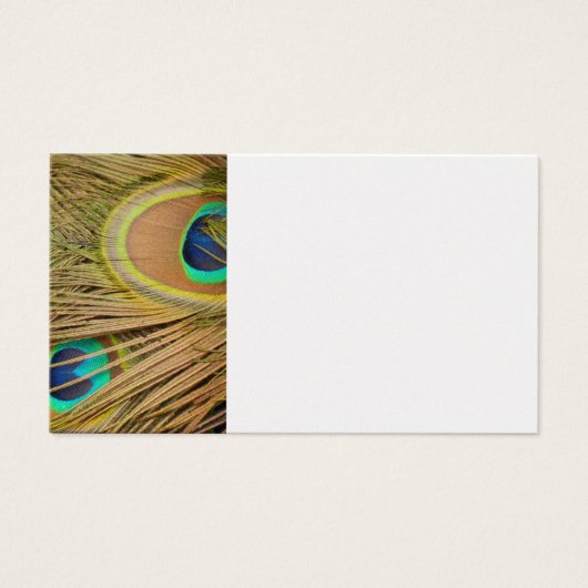 Peacock Feathers Visitekaartjes (Voorkant)