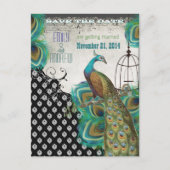 Peacock Feathers Vogelkooi Save the Date Aankondigingskaart (Voorkant)