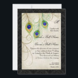 Peacock Feathers Waterverf Zwart Damask Bruiloft Kaart<br><div class="desc">"Peacock Feathers Waterverf Black Damask bruiloft uitnodiging." Peacock veren werden met de hand geschilderd in waterverf en gelaagd met een motief van subtiel kant en damast in een  perkamentstijl. Creëer door Audrey Jeanne Roberts,  copyright.</div>