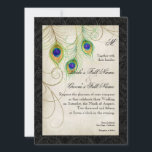 Peacock Feathers Waterverf Zwart Damask Bruiloft Kaart<br><div class="desc">"Peacock Feathers Waterverf Black Damask bruiloft uitnodiging." Peacock veren werden met de hand geschilderd in waterverf en gelaagd met een motief van subtiel kant en damast in een  perkamentstijl. Creëer door Audrey Jeanne Roberts,  copyright.</div>