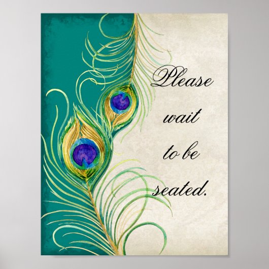 Peacock Feathers Weddenschap Fotografie Booth Sign Poster (Voorkant)