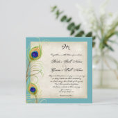 Peacock Feathers Weddenschap Kaart (Staand voorkant)