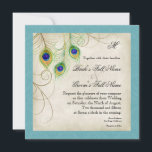 Peacock Feathers Weddenschap Kaart<br><div class="desc">Dit is een eigentijdse, verfijnde uitnodiging. Met gestileerde, handgekleurde Peacock veren, op een handgeschilderde kant en perkament achtergrond met uw keuze van achtergrond rand kleur, hier weergegeven in pauw blauwgroen blauw. U KUNT OOK GENIETEN: Alle items beschikbaar in elke gewenste kleur, stuur ons een e-mail en we helpen u graag...</div>