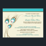Peacock Feathers Wedding Invitation (aqua) Kaart<br><div class="desc">** Dit ontwerp is gemaakt met de basispapierafwerking. Ik adviseer zeer selecterend de Linen of de Smeltafwerking. De basis blijkt glanzend te zijn. ** Beschikbaar in veel verschillende kleuren (zie onderstaande links). Als u een ander kleurenschema nodig hebt dat niet in mijn winkeltje wordt getoond, voel me vrij om me...</div>
