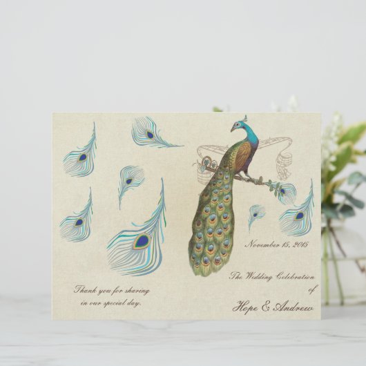 Peacock Feathers Wedding Programme (Staand voorkant)