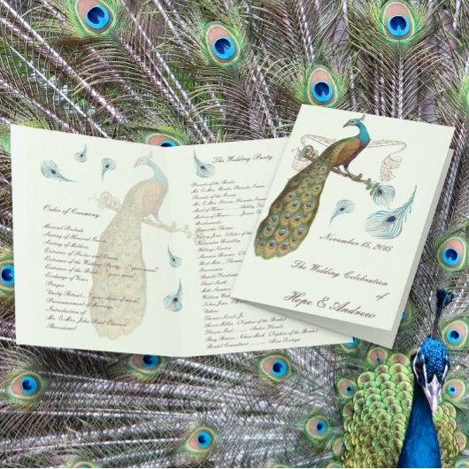 Peacock Feathers Wedding Programme