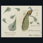 Peacock Feathers Wedding Programme<br><div class="desc">Peacock Wedding Invitations  Art Nouveau Peacock Bird Parade Wedding - zie meer  vogelproducten  Paisley Peacock Colors of Fuchsia en Limoen Paisley Wedding Invitation - Paisley Peacock Colors Wedding Invitations,  RSVP,  Save the Date and Direction and Reception Kaarten.</div>