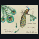 Peacock Feathers Wedding Programme 2<br><div class="desc">zie meer  vredestichtende vogelproducten Peacock Wedding Invitations  Art Nouveau Peacock Bird Parade Wedding - zie meer  vogelproducten  Paisley Peacock Colors of Fuchsia and Limoen Paisley Wedding Invitation - Paisley Peacock Colors Wedding Invitations,  RSVP,  Save the Date and Direction of Reception Cards. RSVP & Place Cards RSVP & Place Cards</div>