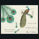 Peacock Feathers Wedding Programme on Damask<br><div class="desc">zie meer  vredestichtende vogelproducten Peacock Wedding Invitations  Art Nouveau Peacock Bird Parade Wedding - zie meer  vogelproducten  Paisley Peacock Colors of Fuchsia and Limoen Paisley Wedding Invitation - Paisley Peacock Colors Wedding Invitations,  RSVP,  Save the Date and Direction of Reception Cards. RSVP & Place Cards RSVP & Place Cards</div>