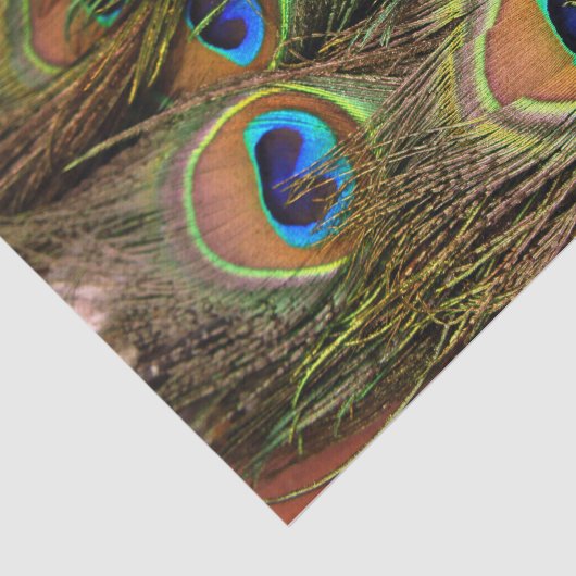 Peacock Feathers Weefpapier Tissuepapier (Detail)