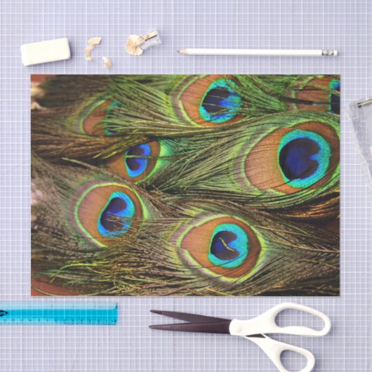 Peacock Feathers Weefpapier Tissuepapier (Craft)