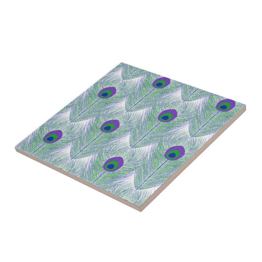 Peacock Feathers White Achtergrond Tegeltje (Zijkant)