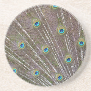 Peacock Feathers Zandsteen Onderzetter