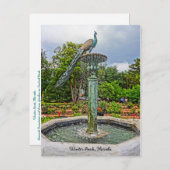 Peacock fontain & Roos Garden in Winter Park FL Briefkaart (Voorkant / Achterkant)