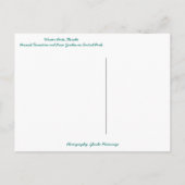 Peacock fontain & Roos Garden in Winter Park FL Briefkaart (Achterkant)