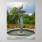 Peacock fontain & Roos Garden in Winter Park FL Poster (Voorkant)