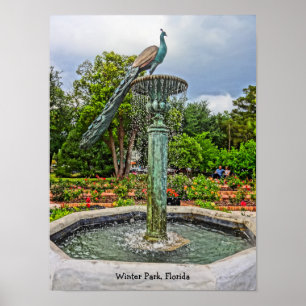 Peacock fontain & Roos Garden in Winter Park FL Poster