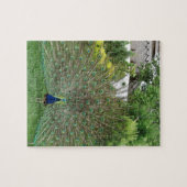 Peacock Foto 8 "x 10" Fotopuzzel met geschenkdoos Legpuzzel (Horizontaal)