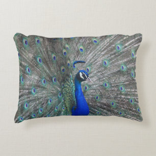 PEACOCK FOTO ACCENT PILLOW ACCENT KUSSEN