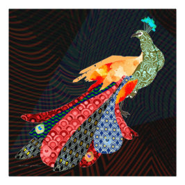 Peacock Foto Afdruk