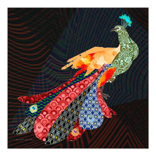 Peacock Foto Afdruk (Voorkant)