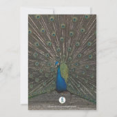 PEACOCK FOTO BABY GIRL SHOWER INVITATION KAART (Achterkant)