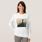 Peacock Foto: Bright Blue Beauful Bird T-shirt (Voorkant volledig)