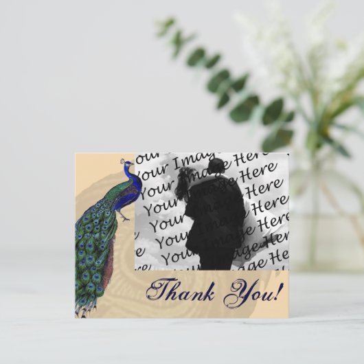 Peacock Foto Dank je kaarten (Staand voorkant)