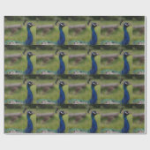 Peacock foto mat inpakpapier (Vlak)