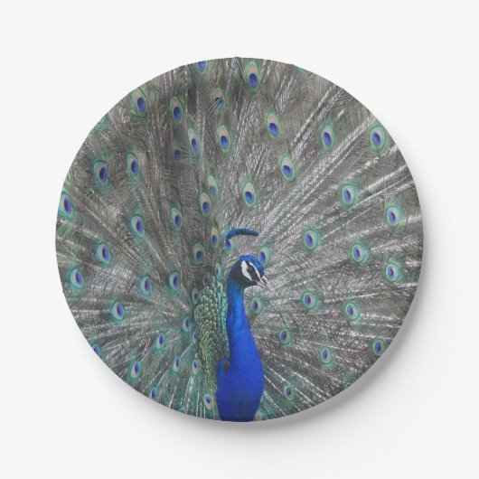 PEACOCK FOTO PAPIER BORDEN PAPIEREN BORDJE (Voorkant)