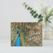 Peacock Foto: "We are proud of you" Briefkaart (Staand voorkant)