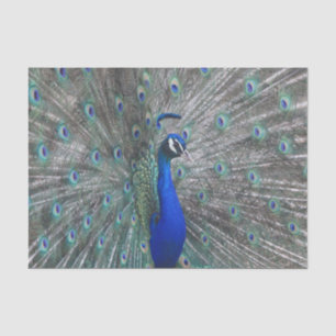 PEACOCK FOTO WEEFSEL PAPIER