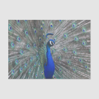 PEACOCK FOTO WEEFSEL PAPIER