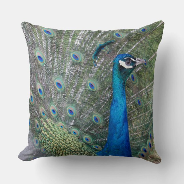 Peacock-fotografie Kussen (Voorkant)