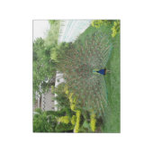 Peacock Fotografie Notitieblok (Linkerzijde)