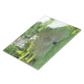 Peacock Fotografie Notitieblok (Schuin)