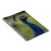 Peacock Fotografie Notitieboek (Rechterzijde)