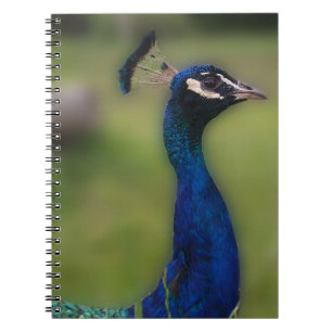 Peacock Fotografie Notitieboek