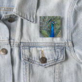 Peacock-fotografie Vierkante Button 5,1 Cm (In situ)