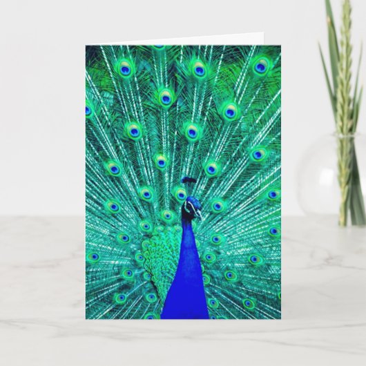 PEACOCK FOTOGRAPHY BLANK WENSKAART KAART (Voorkant)