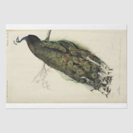 Peacock Franse script Ephemera Decoupage Tissuepapier