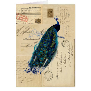 Peacock French Briefkaarten Card