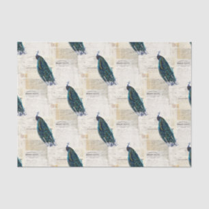 Peacock French Ephemera Tissue Paper Tissuepapier