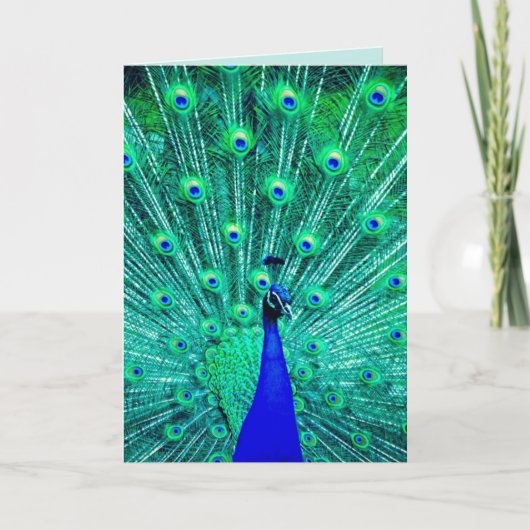 PEACOCK FUNNY BIRTHDAY WENSKAART KAART (Voorkant)