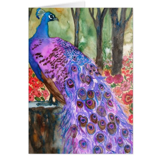 Peacock Garden (Voorkant)