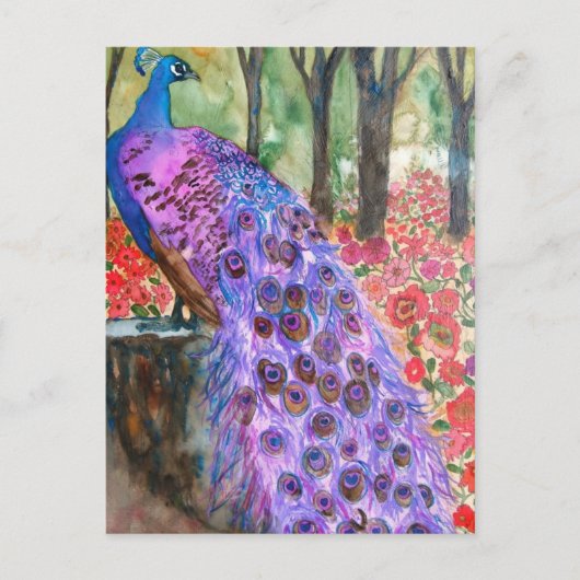 Peacock Garden Briefkaart (Voorkant)