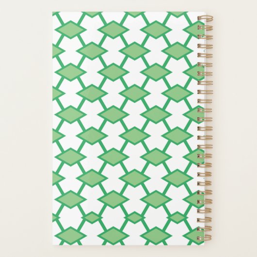 Peacock geeft nooit groene geometrie op planner (Achterkant)