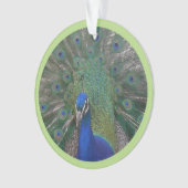 Peacock gezicht & veren Cust. Keramische ornament (voorkant)