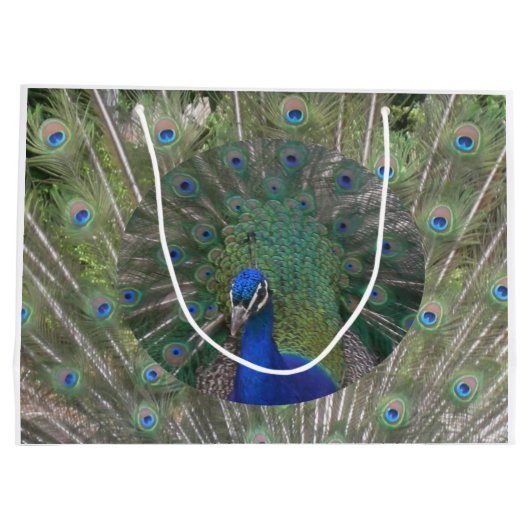 Peacock Gift Bag Large Cadeautasje (Achterkant)