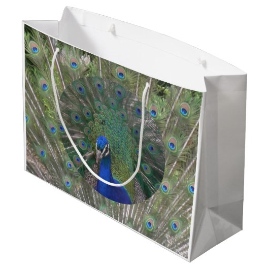 Peacock Gift Bag Large Cadeautasje (Achterkant Gekanteld)